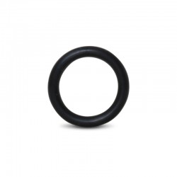 Inlet O-ring
