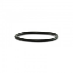 Check Valve O-ring, -125